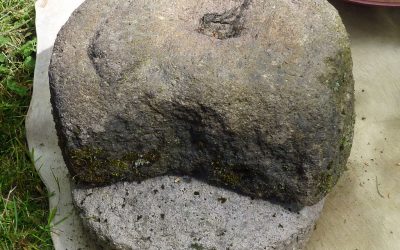 Site archéologique des Fossottes à La Salle
