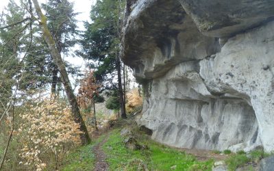 Les meulières du Mont Vouan